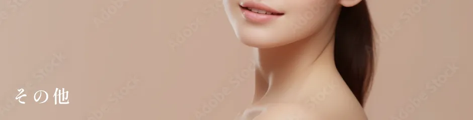 その他